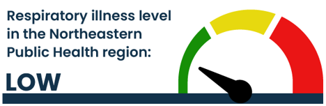 Respiratory illness level in the Northeast: low