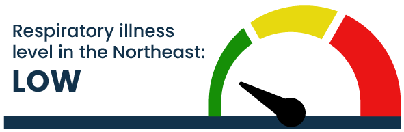 Respiratory illness level in the Northeast: Low