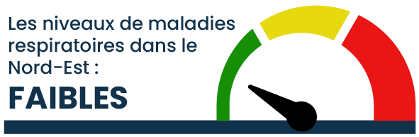 Les niveaux de maladies respiratoires sont faibles dans le Nord-Est.