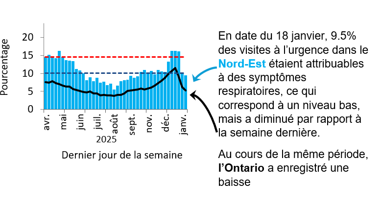 Graphique montrant le pourcentage de visites aux services des urgences dans le Nord-Est de l&rsquo;Ontario en raison de probl&egrave;mes respiratoires de f&eacute;vrier 2025 &agrave; aujourd&rsquo;hui. Les niveaux sont pass&eacute;s de faibles (<10,1 %) en septembre 2024 &agrave; &eacute;lev&eacute;s (>14,6 %) en novembre 2024, atteignant un pic de 23 % &agrave; la fin d&eacute;cembre 2024. Ils diminuent au d&eacute;but de 2025, mais demeurent &eacute;lev&eacute;s, &agrave; l&rsquo;exception d&rsquo;une baisse mod&eacute;r&eacute;e &agrave; la mi-mars et ont &eacute;t&eacute; faibles depuis juin. L&rsquo;Ontario suit une tendance semblable, mais ses taux sont inf&eacute;rieurs de 5 &agrave; 10 %, probablement en raison de diff&eacute;rences dans l&rsquo;utilisation des soins de sant&eacute; et l&rsquo;acc&egrave;s &agrave; ces soins. Au 18 janvier, 9.5% des visites aux urgences dans le Nord-Est &eacute;taient dues &agrave; des sympt&ocirc;mes respiratoires, ce qui correspond &agrave; un niveau bas. Les niveaux en Ontario ont dimun&eacute;.