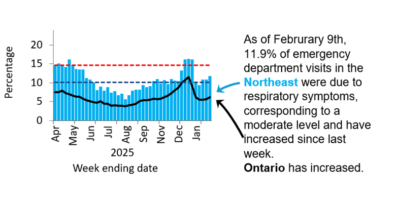 Graph showing the percentage of emergency visits in Northeast Ontario due to respiratory issues from February 2025 to the present. Levels rose from low (<10.1%) in September 2024 to high (>14.6%) by November 2024, peaking at 23% in late December 2024. They declined in early 2025 but remained high, except for a dip to moderate mid-March and have been low since June. Ontario follows a similar trend but with rates 5&ndash;10% lower, likely due to differences in healthcare access and use. As of February 9th, 11.9% of emergency department visits in the Northeast were due to respiratory symptoms, corresponding to a medium level. Ontario levels increased since last week.