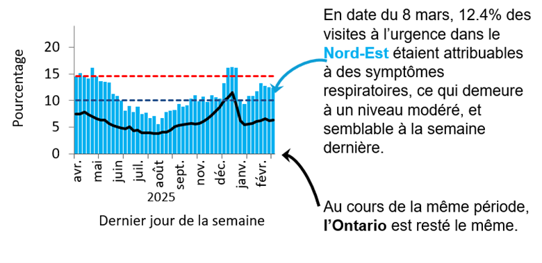 Graphique montrant le pourcentage de visites aux services des urgences dans le Nord-Est de l&rsquo;Ontario en raison de probl&egrave;mes respiratoires de f&eacute;vrier 2025 &agrave; aujourd&rsquo;hui. Les niveaux sont pass&eacute;s de faibles (<10,1 %) en septembre 2024 &agrave; &eacute;lev&eacute;s (>14,6 %) en novembre 2024, atteignant un pic de 23 % &agrave; la fin d&eacute;cembre 2024. Ils diminuent au d&eacute;but de 2025, mais demeurent &eacute;lev&eacute;s, &agrave; l&rsquo;exception d&rsquo;une baisse mod&eacute;r&eacute;e &agrave; la mi-mars et ont &eacute;t&eacute; faibles depuis juin. L&rsquo;Ontario suit une tendance semblable, mais ses taux sont inf&eacute;rieurs de 5 &agrave; 10 %, probablement en raison de diff&eacute;rences dans l&rsquo;utilisation des soins de sant&eacute; et l&rsquo;acc&egrave;s &agrave; ces soins. Au 8 mars, 12,4 % des visites aux urgences dans le Nord-Est &eacute;taient dues &agrave; des sympt&ocirc;mes respiratoires, ce qui correspond &agrave; un niveau mod&eacute;r&eacute;. Au cours de la m&ecirc;me p&eacute;riode, l&rsquo;Ontario est rest&eacute; le m&ecirc;me.