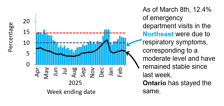 Graph showing the percentage of emergency visits in Northeast Ontario due to respiratory issues from February 2025 to the present. Levels rose from low (<10.1%) in September 2024 to high (>14.6%) by November 2024, peaking at 23% in late December 2024. They declined in early 2025 but remained high, except for a dip to moderate mid-March and have been low since June. Ontario follows a similar trend but with rates 5&ndash;10% lower, likely due to differences in healthcare access and use. As of March 8th, 12.4% of emergency department visits in the Northeast were due to respiratory symptoms, corresponding to a medium level. Ontario levels remained stable.