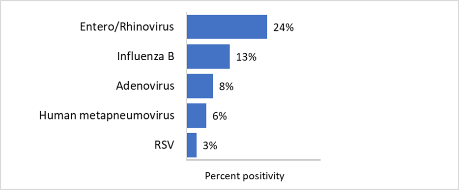 For the most recent update, from highest to lowest, the percentage of positive tests is as follows:  Entero/Rhinovirus 24% Influenza B 13% Adenovirus 8% Human metapneumovirus 6% RSV 3% COVID-19 0% Seasonal human coronavirus 0% Parainfluenza 0% Influenza A 0%