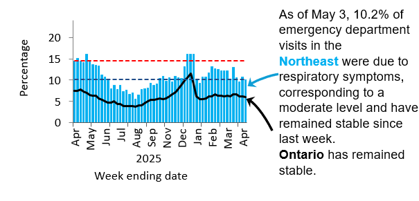 Graph showing the percentage of emergency visits in Northeast Ontario due to respiratory issues from February 2025 to the present. Levels rose from low (<10.1%) in September 2024 to high (>14.6%) by November 2024, peaking at 23% in late December 2024. They declined in early 2025 but remained high, except for a dip to moderate mid-March and have been low since June. Ontario follows a similar trend but with rates 5&ndash;10% lower, likely due to differences in healthcare access and use. As of May 3, 10.2% of emergency department visits in the Northeast were due to respiratory symptoms, corresponding to a moderate level. Ontario levels stayed the same.