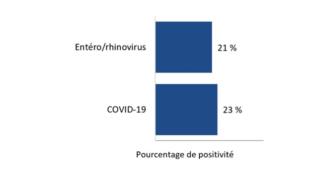 Pour la mise à jour la plus récente, en ordre descendant, le pourcentage de tests positifs est le suivant : COVID-19 - 23%; Entéro/rhinovirus - 21%; Parainfluenza - 0; Métapneumovirus humain - 0; Grippe B - 0; Coronavirus humain saisonnier - 0%; Grippe A - 0; VRS - 0; et Adénovirus - 0%.