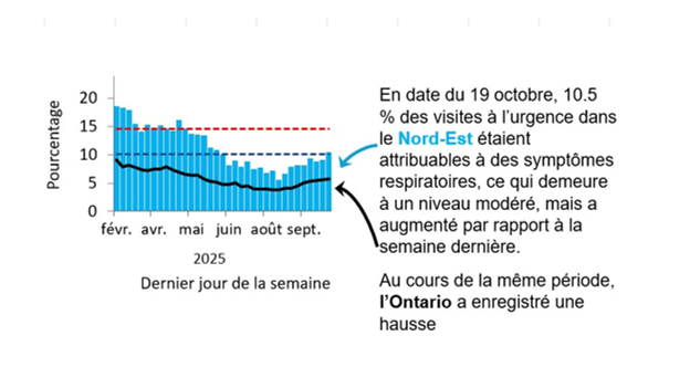 Graphique montrant le pourcentage de visites aux services des urgences dans le Nord-Est de l’Ontario en raison de problèmes respiratoires de février 2025 à aujourd’hui. Les niveaux sont passés de faibles (<10,1 %) en septembre 2024 à élevés (>14,6 %) en novembre 2024, atteignant un pic de 23 % à la fin décembre 2024. Ils diminuent au début de 2025, mais demeurent élevés, à l’exception d’une baisse modérée à la mi-mars et ont été faibles depuis juin. L’Ontario suit une tendance semblable, mais ses taux sont inférieurs de 5 à 10 %, probablement en raison de différences dans l’utilisation des soins de santé et l’accès à ces soins. Au 19 octobre, 10.5 % des visites aux urgences dans le Nord-Est étaient dues à des symptômes respiratoires, est resté à un niveau modéré. Les niveaux en Ontario ont augmenté.