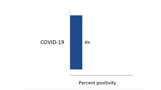 For the most recent update, from highest to lowest, the percentage of positive tests is as follows: COVID-19 - 8%; Entero/Rhinovirus - 0%; Influenza A - 0%; Parainfluenza - 0%; Human metapneumovirus - 0%; Influenza B - 0%; Seasonal human coronavirus - 0%; RSV - 0%; and Adenovirus - 0%.